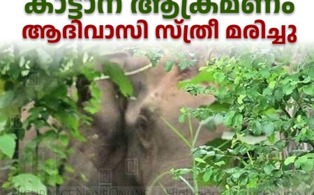 പീരുമേട്ടില്‍ കാട്ടാന ആക്രമണം: ആദിവാസി സ്ത്രീ മരിച്ചു 