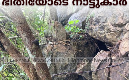 ഈട്ടിത്തോപ്പ് കുരിശുമലയില്‍ കൂറ്റന്‍പാറ ഏതുനിമിഷവും നിലംപൊത്തും: ഭീതിയോടെ നാട്ടുകാര്‍