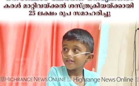 അഡോണിനെ നെഞ്ചോട് ചേര്‍ത്ത് നെടുങ്കണ്ടം: കരള്‍ മാറ്റിവയ്ക്കല്‍ ശസ്ത്രക്രിയയ്ക്കായി 25 ലക്ഷം രൂപ സമാഹരിച്ചു