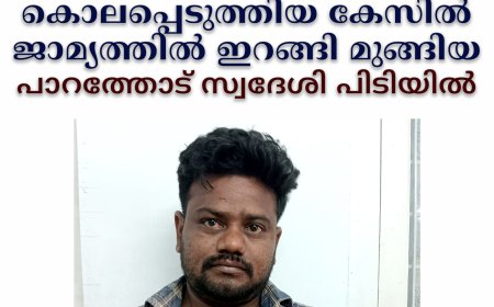 പിതാവിനെ കൊലപ്പെടുത്തിയ കേസില്‍ ജാമ്യത്തില്‍ ഇറങ്ങി മുങ്ങിയ പാറത്തോട് സ്വദേശി പിടിയില്‍