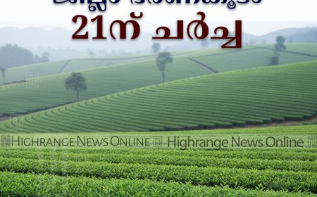 തോട്ടം മേഖലയിലെ പ്രശ്ന പരിഹാരത്തിന് ജില്ലാ ഭരണകൂടം: 21ന് ചര്‍ച്ച