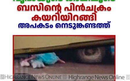   വൃദ്ധയുടെ കാലിലൂടെ ബസിന്റെ പിന്‍ചക്രം കയറിയിറങ്ങി: അപകടം നെടുങ്കണ്ടത്ത്  