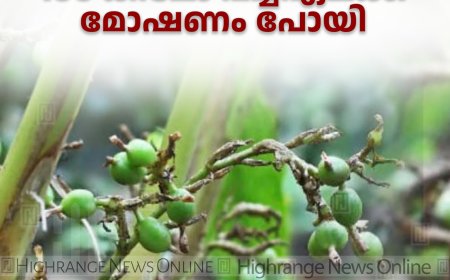 നിര്‍മലാസിറ്റിയില്‍ തോട്ടത്തില്‍നിന്ന് 100 കിലോ പച്ചഏലക്ക മോഷണം പോയി