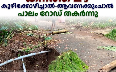   കനത്ത മഴ: കുഴിക്കോഴിച്ചാല്‍-ആവണക്കുംചാല്‍ പാലം റോഡ് തകര്‍ന്നു