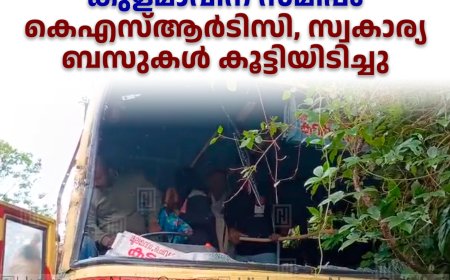  കുളമാവിന് സമീപം കെഎസ്ആര്‍ടിസി, സ്വകാര്യ ബസുകള്‍ കൂട്ടിയിടിച്ചു