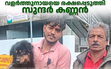 ചോറ്റുപാറ കൈത്തോട്ടില്‍ കുടങ്ങിയ വളര്‍ത്തുനായയെ രക്ഷപ്പെടുത്തി സുന്ദര്‍ കണ്ണന്‍ 