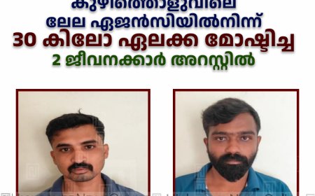 കുഴിത്തൊളുവിലെ ലേല ഏജന്‍സിയില്‍നിന്ന് 30 കിലോ ഏലക്ക മോഷ്ടിച്ച 2 ജീവനക്കാര്‍ അറസ്റ്റില്‍