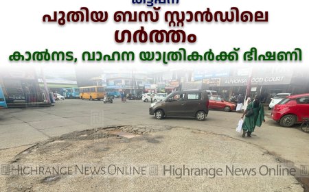 കട്ടപ്പന പുതിയ ബസ് സ്റ്റാന്‍ഡിലെ ഗര്‍ത്തം കാല്‍നട, വാഹന യാത്രികര്‍ക്ക് ഭീഷണി  