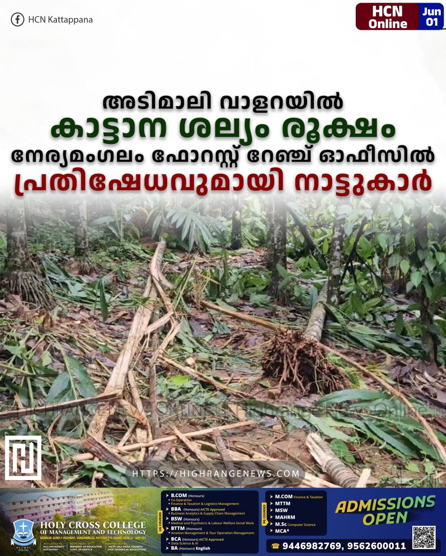 അടിമാലി വാളറയില്‍ കാട്ടാന ശല്യം രൂക്ഷം:  നേര്യമംഗലം ഫോറസ്റ്റ് റേഞ്ച് ഓഫീസില്‍ പ്രതിഷേധവുമായി നാട്ടുകാര്‍