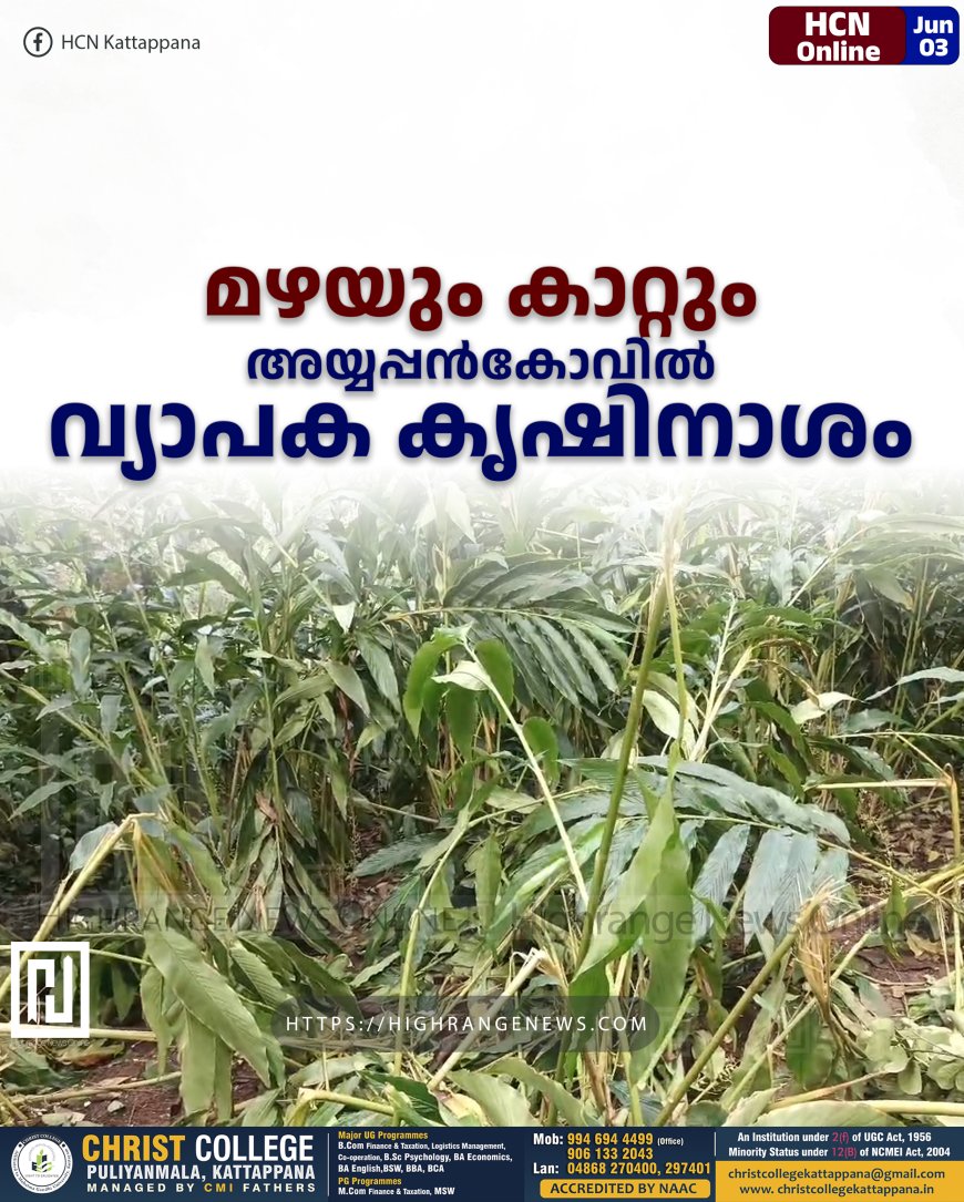 മഴയും കാറ്റും: അയ്യപ്പന്‍കോവിലില്‍ വ്യാപക കൃഷിനാശം