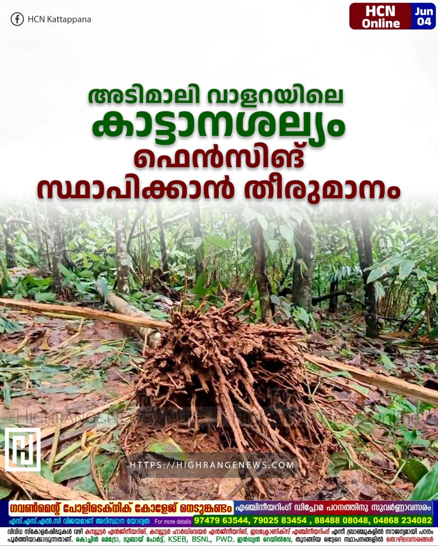 അടിമാലി വാളറയിലെ കാട്ടാനശല്യം: ഫെന്സിങ് സ്ഥാപിക്കാന് തീരുമാനം