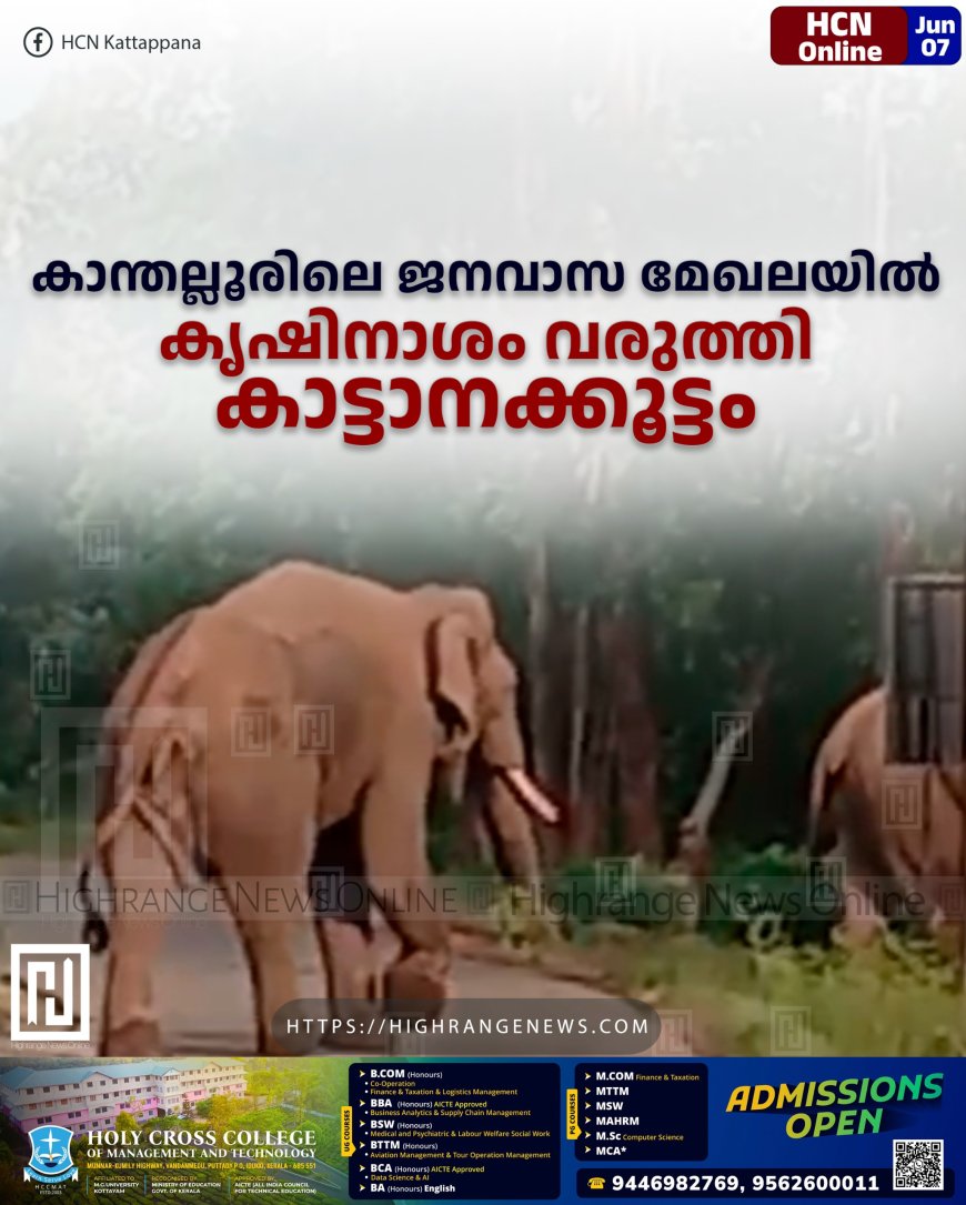കാന്തല്ലൂരിലെ ജനവാസ മേഖലയില്‍ കൃഷിനാശം വരുത്തി കാട്ടാനക്കൂട്ടം