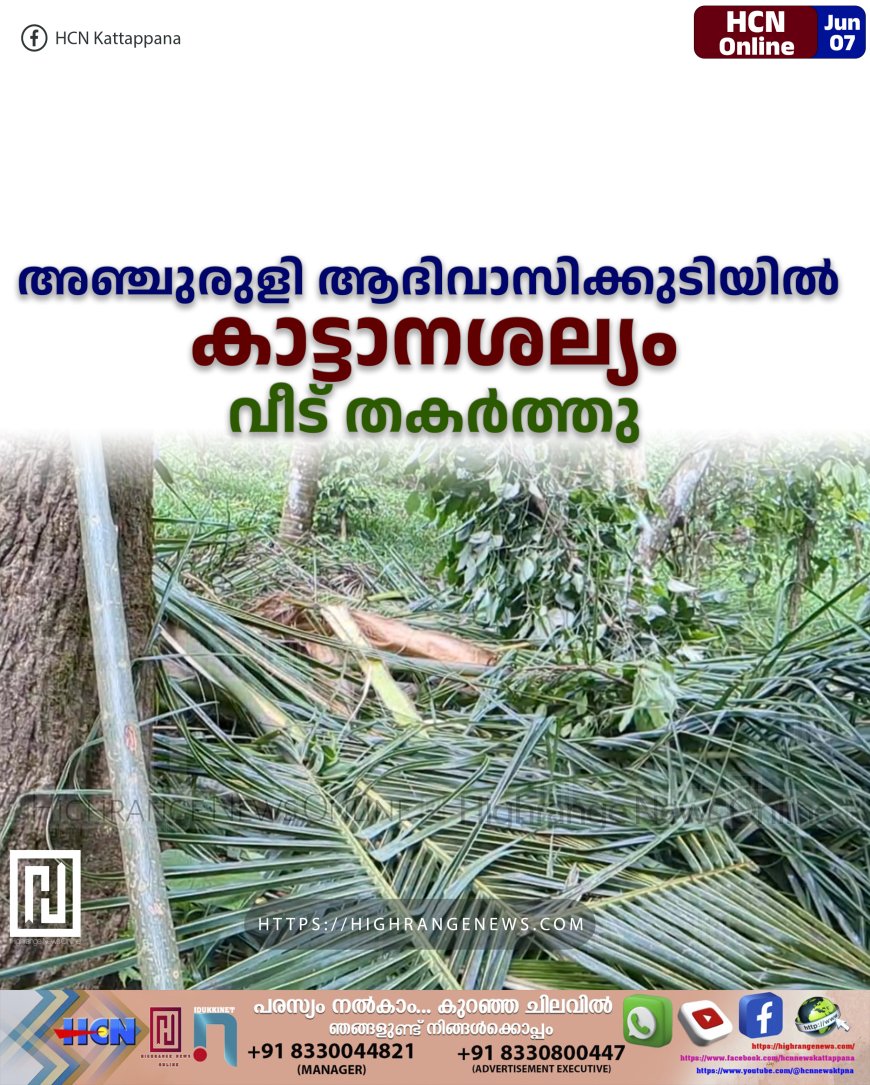അഞ്ചുരുളി ആദിവാസിക്കുടിയില്‍ കാട്ടാനശല്യം: വീട് തകര്‍ത്തു