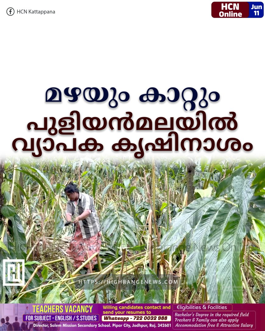 മഴയും കാറ്റും: പുളിയന്മലയില് വ്യാപക കൃഷിനാശം