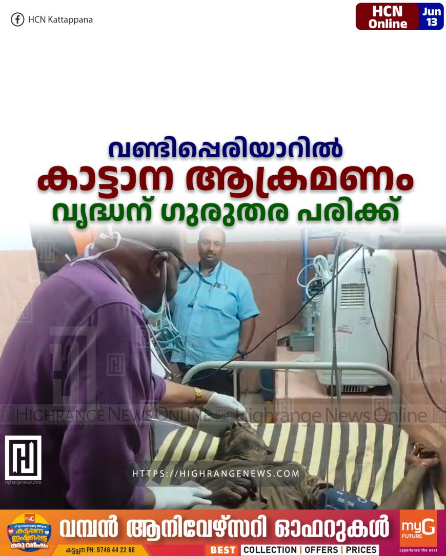  വണ്ടിപ്പെരിയാറില്‍ കാട്ടാന ആക്രമണം: വൃദ്ധന് ഗുരുതര പരിക്ക് 