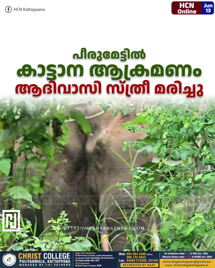 പീരുമേട്ടില് കാട്ടാന ആക്രമണം: ആദിവാസി സ്ത്രീ മരിച്ചു