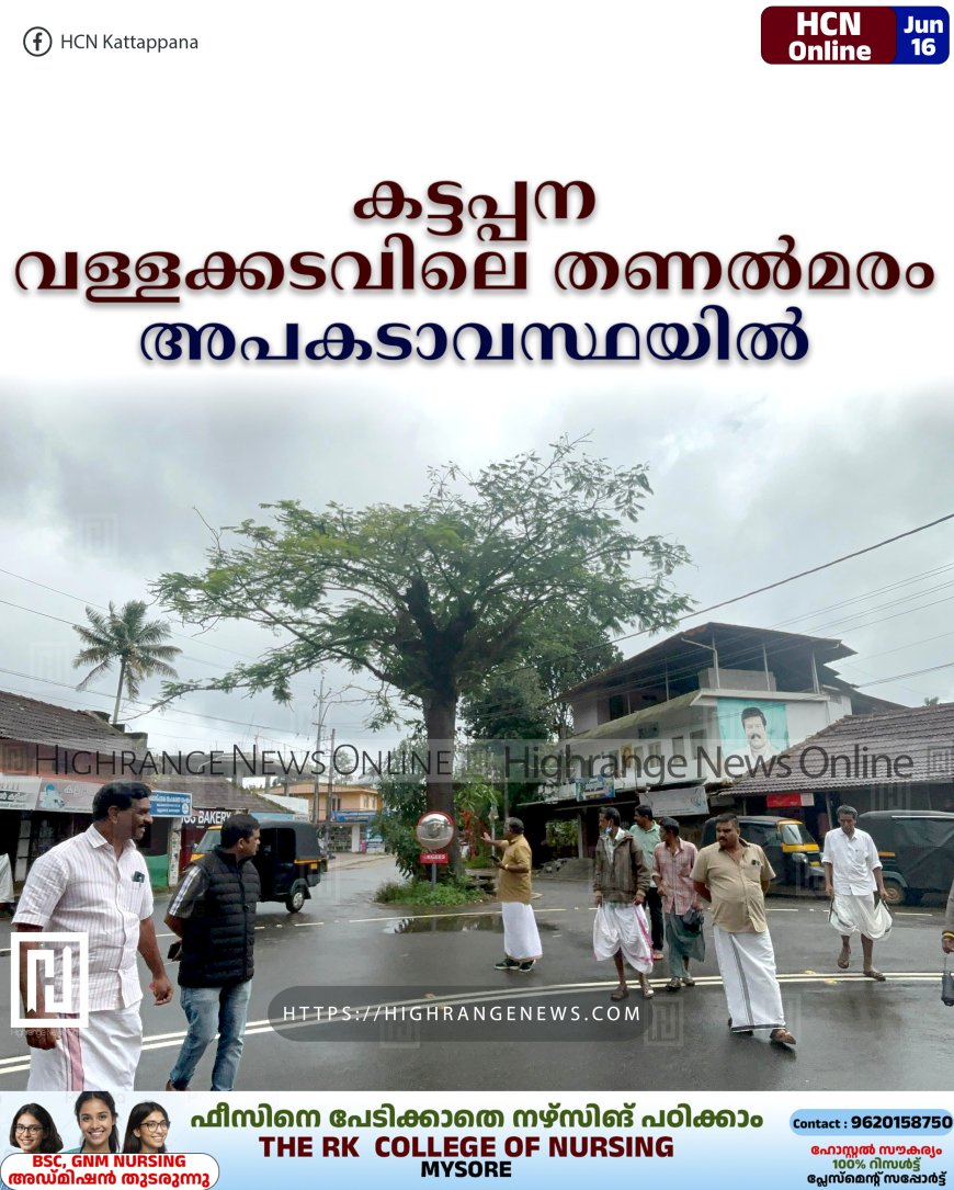കട്ടപ്പന വള്ളക്കടവിലെ തണല്മരം അപകടാവസ്ഥയില്