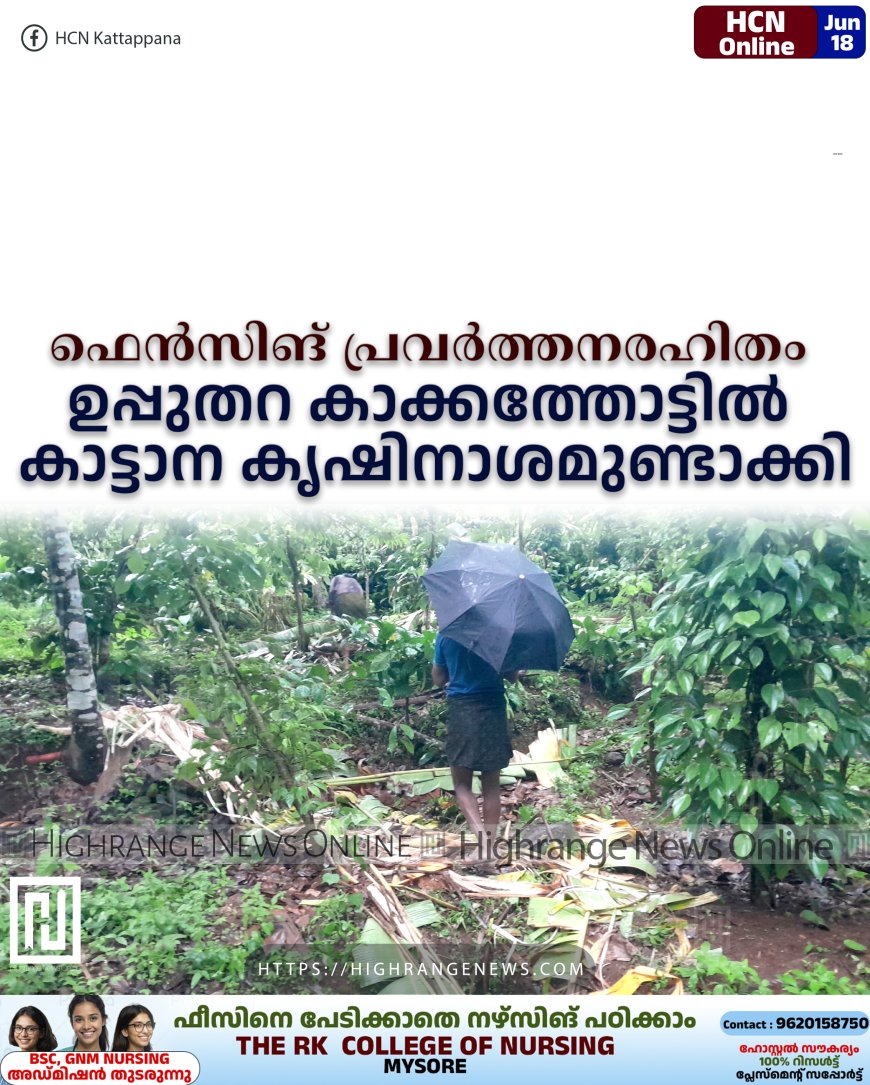 ഫെന്സിങ് പ്രവര്ത്തനരഹിതം: ഉപ്പുതറ കാക്കത്തോട്ടില് കാട്ടാന കൃഷിനാശമുണ്ടാക്കി
