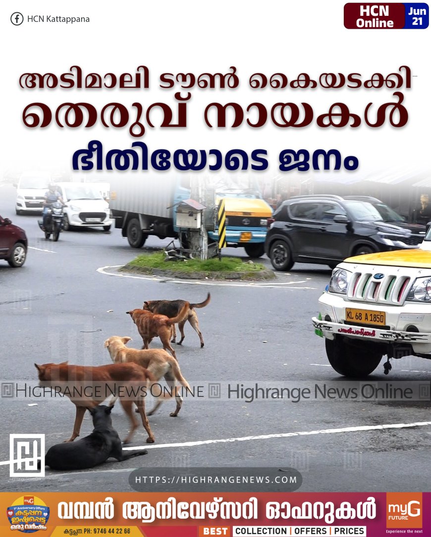 അടിമാലി ടൗണ് കൈയടക്കി തെരുവ് നായകള്: ഭീതിയോടെ ജനം