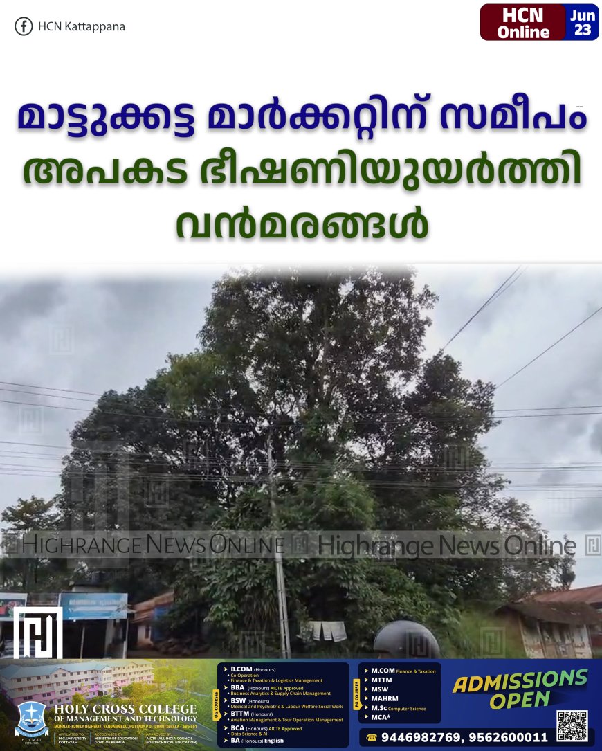 മാട്ടുക്കട്ട മാര്‍ക്കറ്റിന് സമീപം അപകട ഭീഷണിയുയര്‍ത്തി വന്‍മരങ്ങള്‍ 