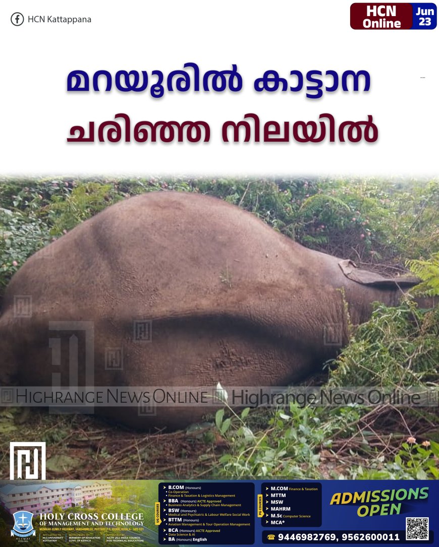മറയൂരില് കാട്ടാന ചരിഞ്ഞ നിലയില്