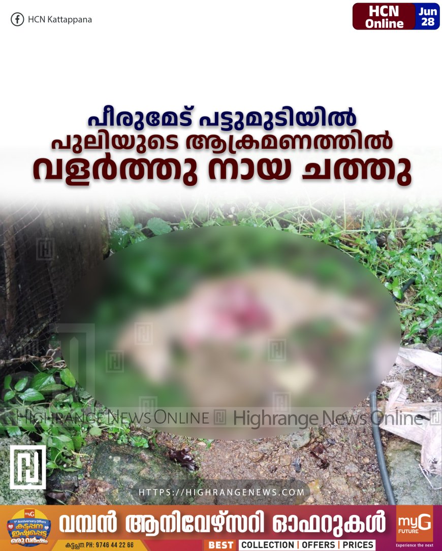 പീരുമേട് പട്ടുമുടിയില് പുലിയുടെ ആക്രമണത്തില് വളര്ത്തു നായ ചത്തു