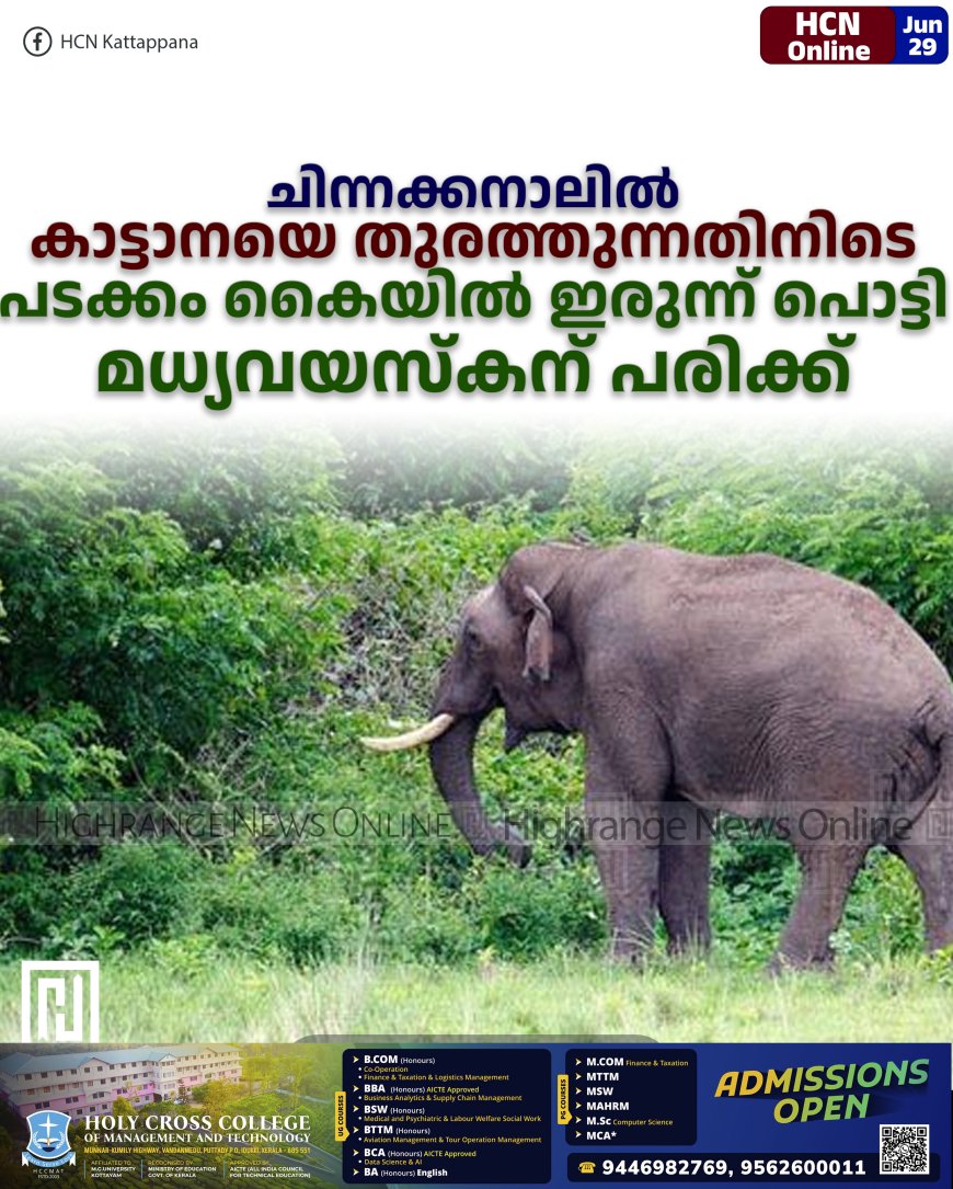 ചിന്നക്കനാലില് കാട്ടാനയെ തുരത്തുന്നതിനിടെ പടക്കം കൈയില് ഇരുന്ന് പൊട്ടി മധ്യവയസ്കന് പരിക്ക്