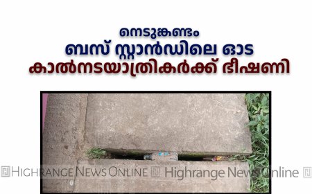 നെടുങ്കണ്ടം ബസ് സ്റ്റാന്‍ഡിലെ ഓട കാല്‍നടയാത്രികര്‍ക്ക് ഭീഷണി