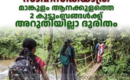 കുത്തിയൊഴുകുന്ന തോടിന് കുറുകെ തടിപ്പാലത്തിലൂടെ സാഹസികയാത്ര: മാങ്കുളം ആനക്കുളത്തെ 2 കുടുംബങ്ങള്‍ക്ക് അറുതിയില്ലാ ദുരിതം