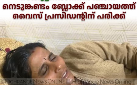 കാട്ടുപന്നി കുറുകെ ചാടി: സ്‌കൂട്ടറില്‍നിന്ന് വീണ് നെടുങ്കണ്ടം ബ്ലോക്ക് പഞ്ചായത്ത് വൈസ് പ്രസിഡന്റിന് പരിക്ക്