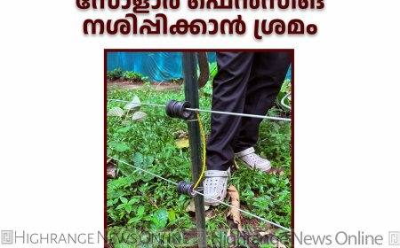 കാഞ്ചിയാര്‍ മറ്റപ്പള്ളിക്കവലയിലെ സോളാര്‍ ഫെന്‍സിങ് നശിപ്പിക്കാന്‍ ശ്രമം