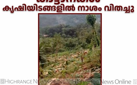   ആനക്കുളത്ത് കാട്ടാനകള്‍ കൃഷിയിടങ്ങളില്‍ നാശം വിതച്ചു 