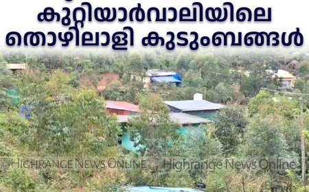 വെള്ളക്കെട്ടും വൈദ്യുതി മുടക്കവും: ദുരിതക്കയത്തില്‍ കുറ്റിയാര്‍വാലിയിലെ തൊഴിലാളി കുടുംബങ്ങള്‍