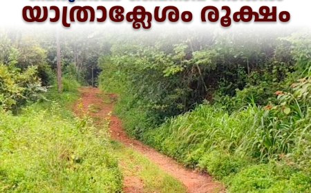 പെരുങ്കാലാ-പൈനാവ് റോഡില്‍ യാത്രാക്ലേശം രൂക്ഷം 