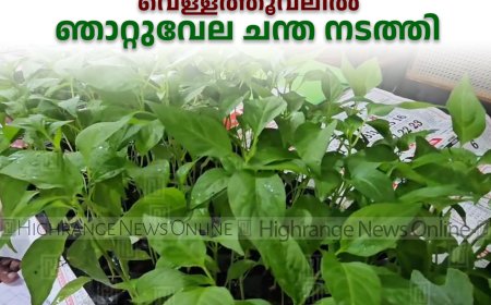 വെള്ളത്തൂവലില്‍ ഞാറ്റുവേല ചന്ത നടത്തി 