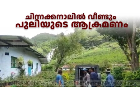 ചിന്നക്കനാലില്‍ വീണ്ടും പുലിയുടെ ആക്രമണം 