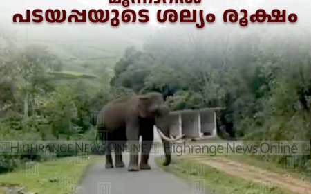 മൂന്നാറില്‍ പടയപ്പയുടെ ശല്യം രൂക്ഷം