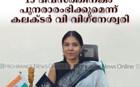 ജീപ്പ് സഫാരി നിയന്ത്രണം സുരക്ഷിത യാത്രയ്ക്ക് വേണ്ടി: 15 ദിവസത്തിനകം പുനരാരംഭിക്കുമെന്ന് കലക്ടര്‍ വി വിഗ്‌നേശ്വരി