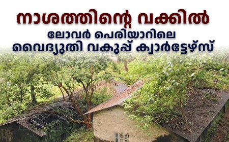 നാശത്തിന്റെ വക്കില്‍ ലോവര്‍ പെരിയാറിലെ വൈദ്യുതി വകുപ്പ് ക്വാര്‍ട്ടേഴ്‌സ് 