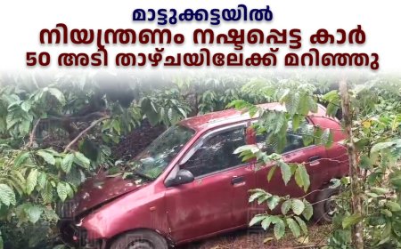   മാട്ടുക്കട്ടയില്‍ നിയന്ത്രണം നഷ്ടപ്പെട്ട കാര്‍ 50 അടി താഴ്ചയിലേക്ക് മറിഞ്ഞു 