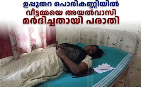 ഉപ്പുതറ പൊരികണ്ണിയില്‍ വീട്ടമ്മയെ അയല്‍വാസി മര്‍ദിച്ചതായി പരാതി 