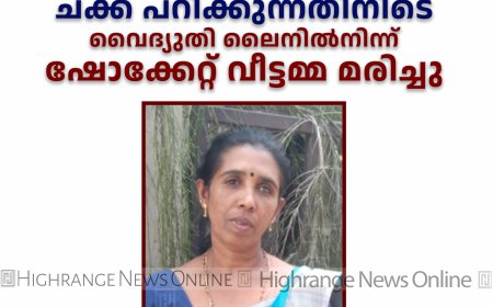 അടിമാലിയില്‍ ചക്ക പറിക്കുന്നതിനിടെ വൈദ്യുതി ലൈനില്‍നിന്ന് ഷോക്കേറ്റ് വീട്ടമ്മ മരിച്ചു