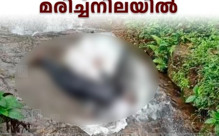 അടിമാലി അപ്‌സരാക്കുന്നിലെ തോട്ടില്‍ മധ്യവയസ്‌കന്‍ മരിച്ചനിലയില്‍ 