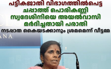 പട്ടികജാതി വിഭാഗത്തില്‍പെട്ട ചപ്പാത്ത് പൊരികണ്ണി സ്വദേശിനിയെ അയല്‍വാസി മര്‍ദിച്ചതായി പരാതി: നടപ്പാത കൈയടക്കാനും ശ്രമമെന്ന് വീട്ടമ്മ