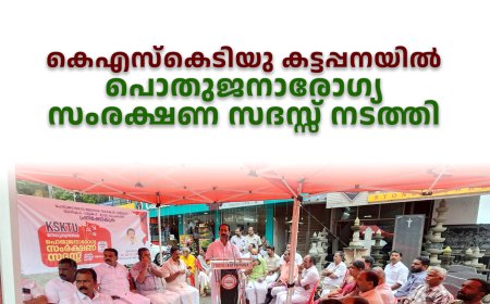 കെഎസ്‌കെടിയു കട്ടപ്പനയിൽ പൊതുജനാരോഗ്യ സംരക്ഷണ സദസ്സ് നടത്തി