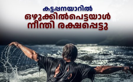 കട്ടപ്പനയാറില്‍ ഒഴുക്കില്‍പെട്ടയാള്‍ നീന്തി രക്ഷപ്പെട്ടു