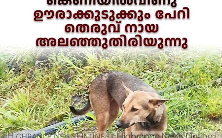കാട്ടുപന്നിക്കായി വച്ച കെണിയില്‍വീണു: ഊരാക്കുടുക്കും പേറി തെരുവ് നായ അലഞ്ഞുതിരിയുന്നു