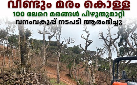 ശാന്തന്‍പാറയിലെ ഏലമലക്കാടുകളില്‍ വീണ്ടും മരം കൊള്ള: 100 ലേറെ മരങ്ങള്‍ പിഴുതുമാറ്റി: വനംവകുപ്പ് നടപടി ആരംഭിച്ചു 