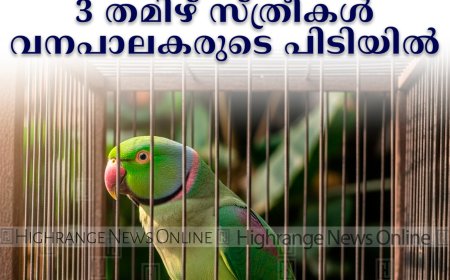 തത്തകളെ വില്‍ക്കാന്‍ ശ്രമം: കാഞ്ചിയാറില്‍ 3 തമിഴ് സ്ത്രീകള്‍ വനപാലകരുടെ പിടിയില്‍