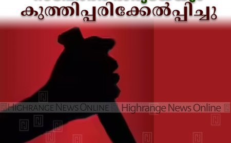 ചെമ്മണ്ണാറില്‍ യുവാവ് സഹോദരനെയും സഹോദര ഭാര്യയേയും കുത്തിപ്പരിക്കേല്‍പ്പിച്ചു